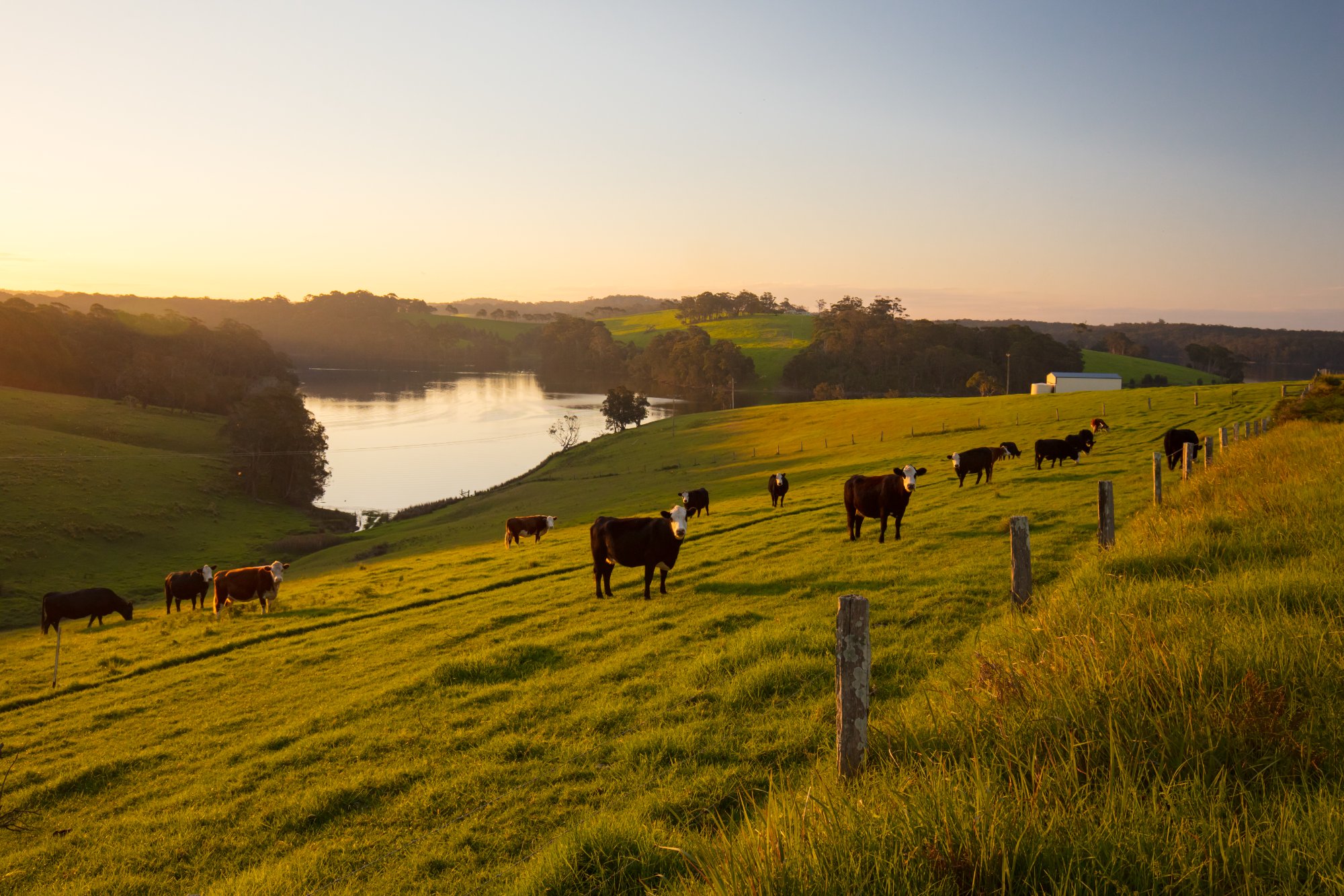 Darling Downs, QLD