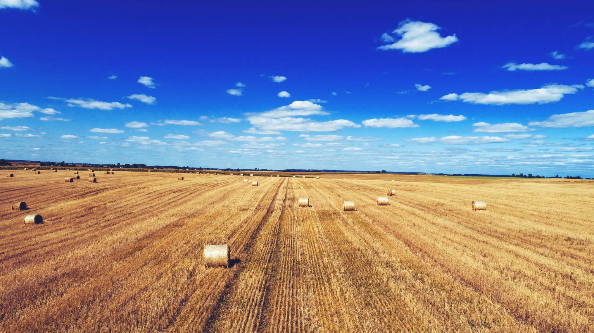 Wheatbelt, WA
